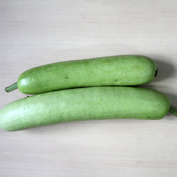 Organic Bottle Gourd / Doodhi